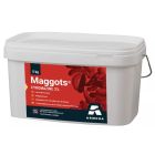 MAGGOTS  5 KG